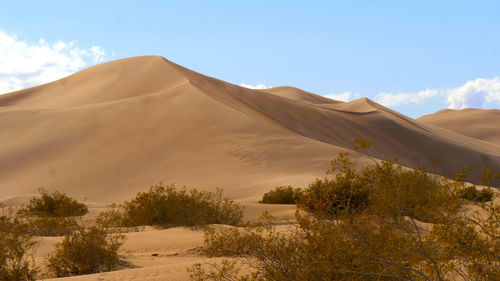 Scenic view of desert against sky