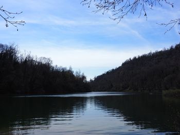 Scenic view of lake in forest against sky