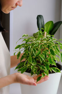 Midsection of woman holding potted plant