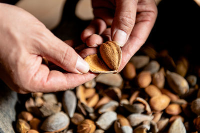 Close-up of man holding mushroom