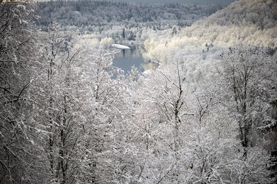 Aerial view of frozen lake