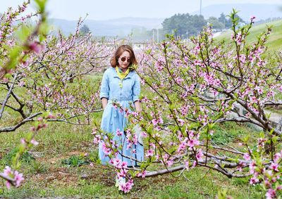 Woman walking amidst pink flowers on field