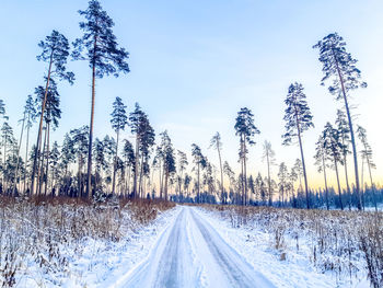 Road amidst snow covered land and trees against sky during winter