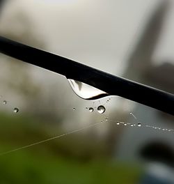 Close-up of water drops on spider web