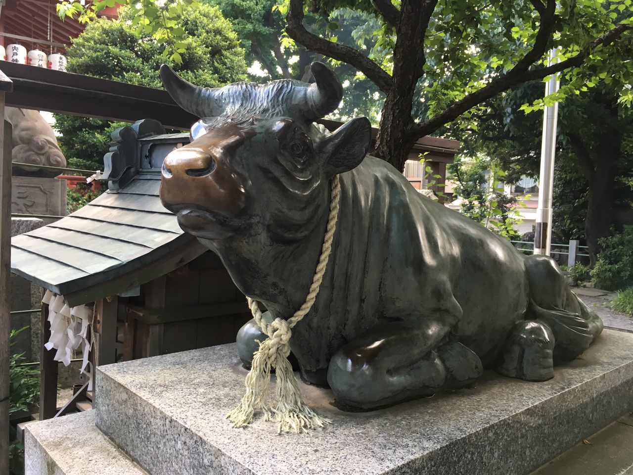 VIEW OF HORSE STATUE