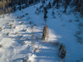 Scenic view of snow covered forest