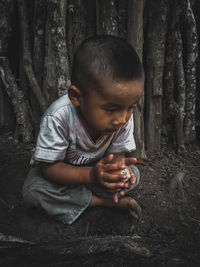 Cute boy looking away while sitting on land