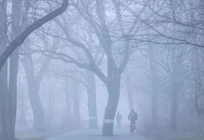 Man walking on snow covered bare trees in forest