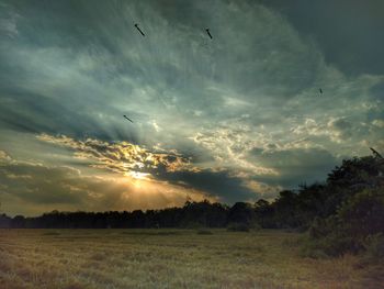 Scenic view of sunset over field