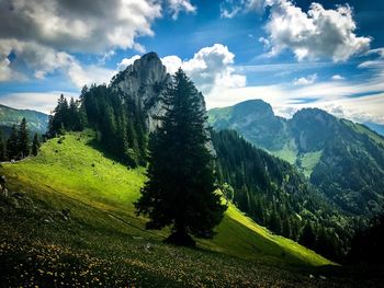 Scenic view of landscape against sky