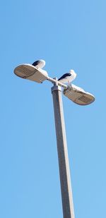 Low angle view of street light against clear sky