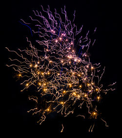 Low angle view of firework display