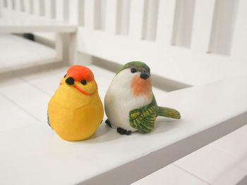 Close-up of parrot perching on table