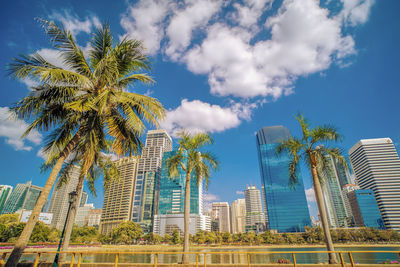 Low angle view of palm trees against sky