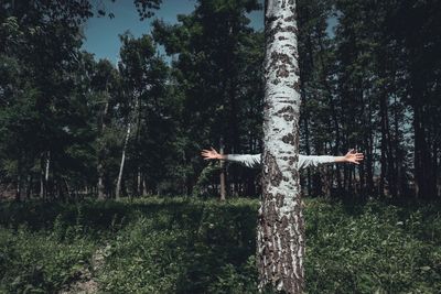 Person behind tree in forest