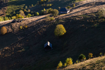 High angle view of bird on land