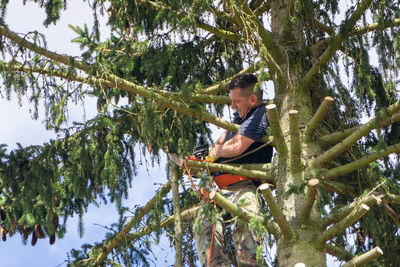Man cutting tree branch with handsaw