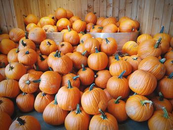 Full frame shot of pumpkins