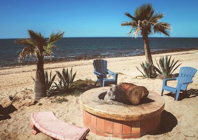 Scenic view of palm trees on beach