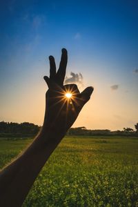 Person hand on field against sky during sunset