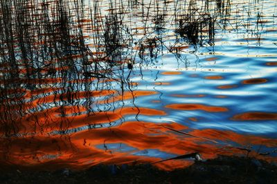 Reflection of trees in water at sunset