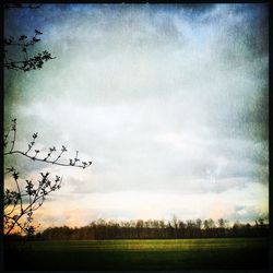 Scenic view of grassy field against cloudy sky