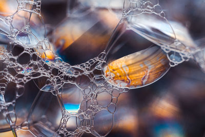 Close-up of soap bubbles 