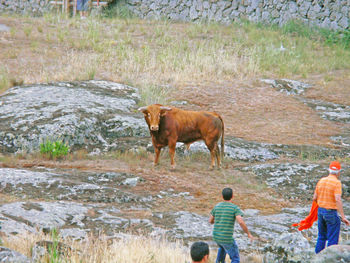 Rear view of men standing on riverbank