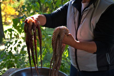 Midsection of woman preparing octopus to cook