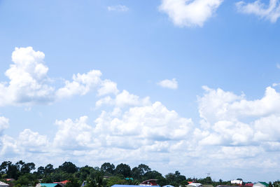 Trees on countryside landscape against blue sky