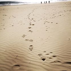 Scenic view of beach