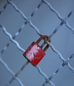 Close-up of padlocks on chainlink fence