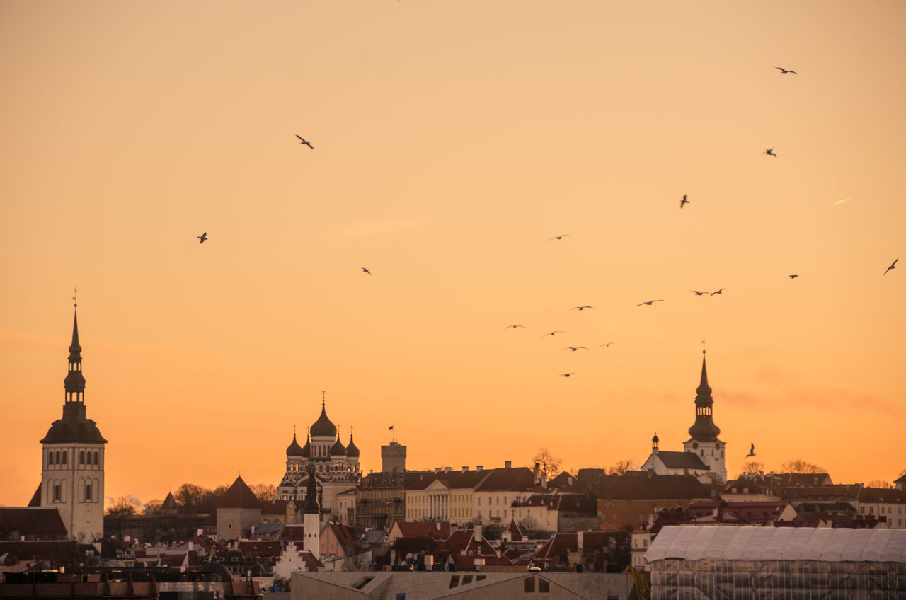 sunset, architecture, built structure, flying, building exterior, bird, sky, animals in the wild, place of worship, tourism, outdoors, mid-air, city, religion, travel destinations, spirituality, large group of animals, animal themes, no people, flock of birds, dome, animal wildlife, nature, cityscape, day