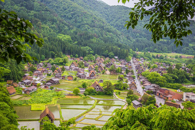 High angle view of trees on landscape