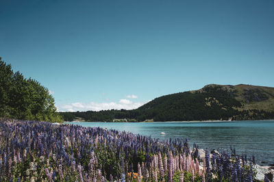 Scenic view of lake against blue sky