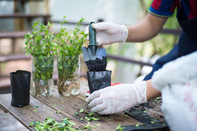 Midsection of woman holding potted plant on table