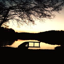 Silhouette of trees at sunset