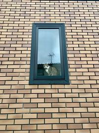 Low angle view of window on wall of building