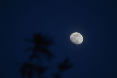 Low angle view of moon against clear blue sky