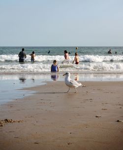 Group of people on beach