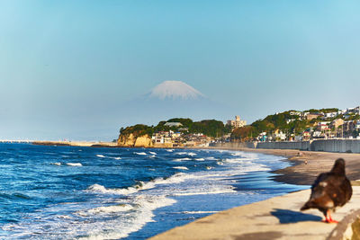 Scenic view of beach and snowcapped mountains against clear blue sky in the morning