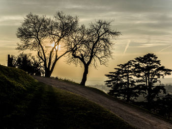 Silhouette tree on field against sky at sunset