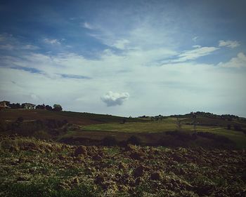 Scenic view of field against sky