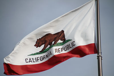 Close-up of flag with text against sky