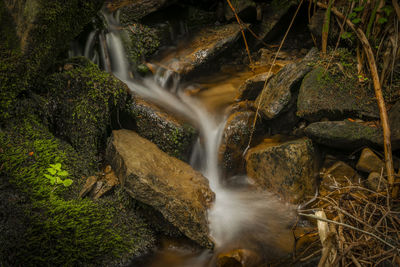 Scenic view of waterfall in forest