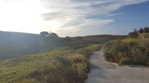 Road amidst plants and land against sky