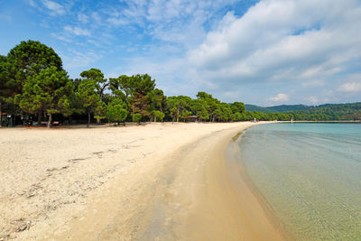 Scenic view of beach against sky