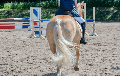 Low section of mature woman riding horse against trees