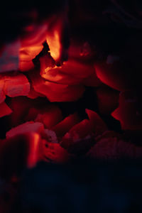 Close-up of fire