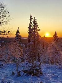 Scenic view of snow covered land during sunset